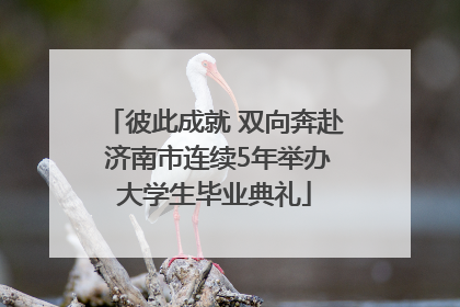 彼此成就 双向奔赴 济南市连续5年举办大学生毕业典礼