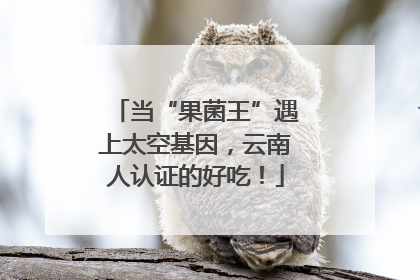 当“果菌王”遇上太空基因，云南人认证的好吃！