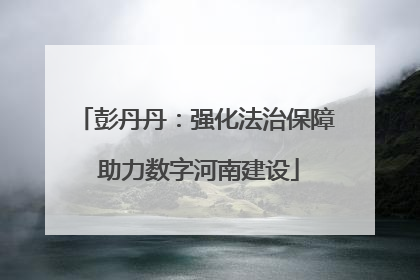 彭丹丹：强化法治保障 助力数字河南建设