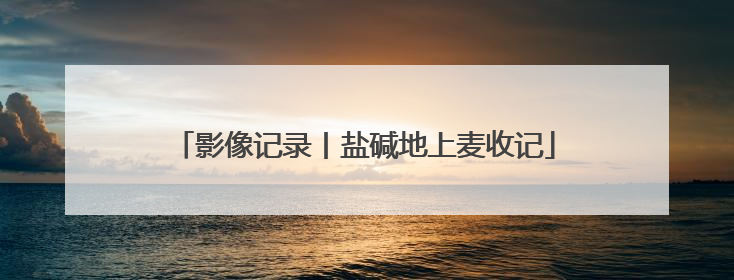 影像记录丨盐碱地上麦收记