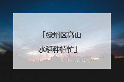 徽州区高山水稻种植忙