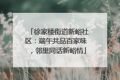 徐家楼街道新峪社区：端午共品百家味，邻里同话新峪情