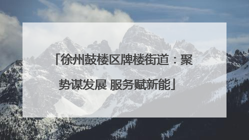 徐州鼓楼区牌楼街道：聚势谋发展 服务赋新能