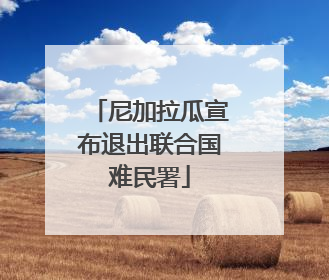 尼加拉瓜宣布退出联合国难民署