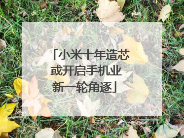 小米十年造芯 或开启手机业新一轮角逐