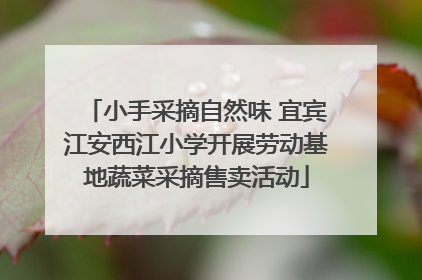 小手采摘自然味 宜宾江安西江小学开展劳动基地蔬菜采摘售卖活动