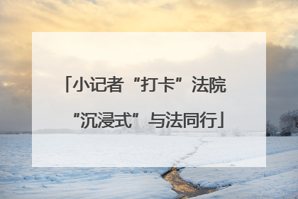 小记者“打卡”法院 “沉浸式”与法同行
