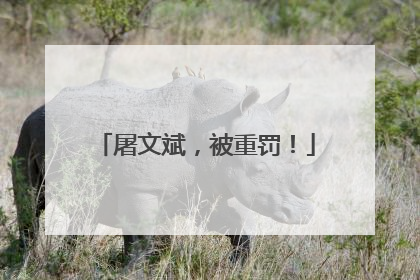 屠文斌，被重罚！