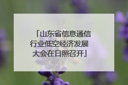山东省信息通信行业低空经济发展大会在日照召开