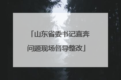 山东省委书记直奔问题现场督导整改