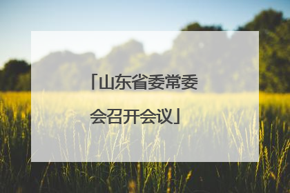 山东省委常委会召开会议