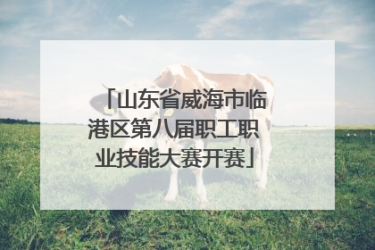 山东省威海市临港区第八届职工职业技能大赛开赛