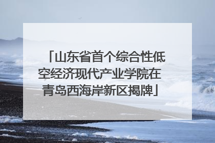 山东省首个综合性低空经济现代产业学院在青岛西海岸新区揭牌