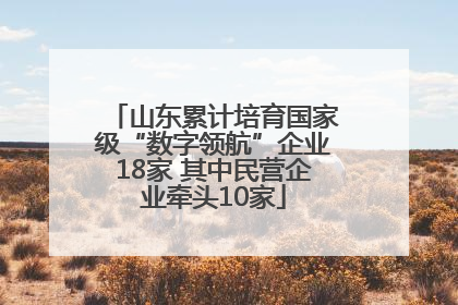 山东累计培育国家级“数字领航”企业18家 其中民营企业牵头10家