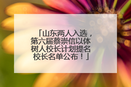 山东两人入选，第六届蔡崇信以体树人校长计划提名校长名单公布！