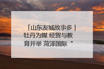 山东友城故事多｜牡丹为媒 经贸与教育并举 菏泽国际“朋友圈”扩容升级