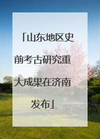 山东地区史前考古研究重大成果在济南发布