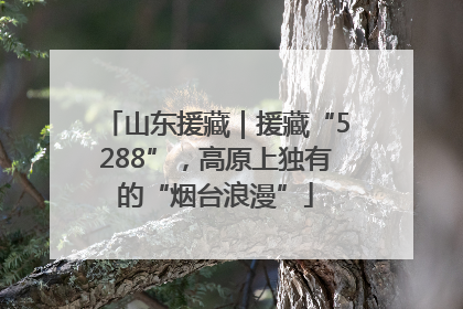 山东援藏｜援藏“5288”，高原上独有的“烟台浪漫”