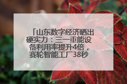山东数字经济晒出硬实力：三一重能设备利用率提升4倍，赛轮智能工厂38秒生产一条轮胎