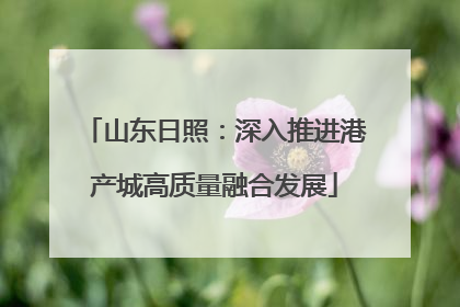 山东日照：深入推进港产城高质量融合发展