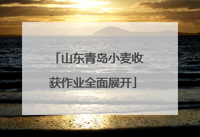 山东青岛小麦收获作业全面展开