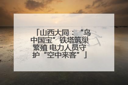 山西大同：“鸟中国宝”铁塔筑巢繁殖 电力人员守护“空中来客”