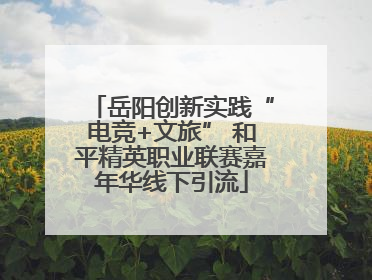 岳阳创新实践“电竞+文旅” 和平精英职业联赛嘉年华线下引流