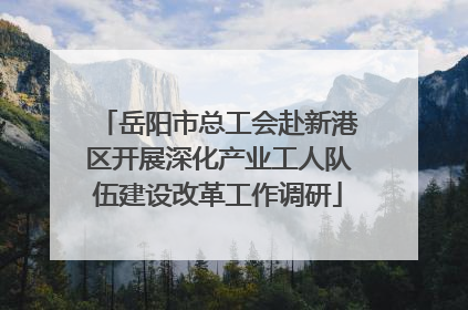 岳阳市总工会赴新港区开展深化产业工人队伍建设改革工作调研