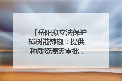 岳阳拟立法保护樟树港辣椒：提供种质资源需审批，违规最高罚5万