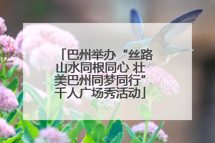 巴州举办“丝路山水同根同心 壮美巴州同梦同行”千人广场秀活动