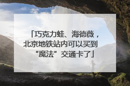 巧克力蛙、海德薇，北京地铁站内可以买到“魔法”交通卡了