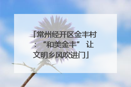 常州经开区金丰村：“和美金丰” 让文明乡风吹进门