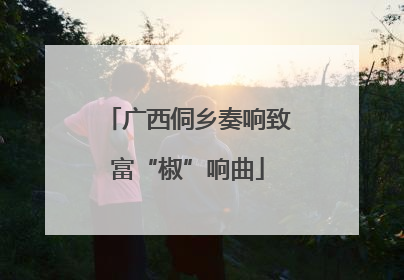广西侗乡奏响致富“椒”响曲