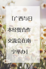 广西与日本经贸合作交流会在南宁举办