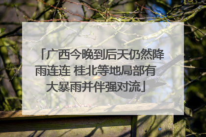 广西今晚到后天仍然降雨连连 桂北等地局部有大暴雨并伴强对流