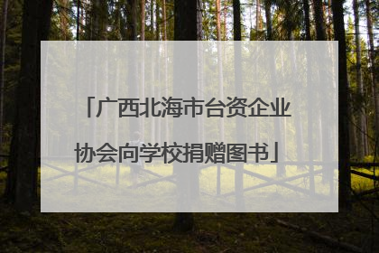 广西北海市台资企业协会向学校捐赠图书
