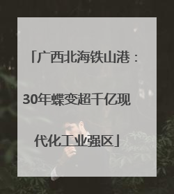 广西北海铁山港：30年蝶变超千亿现代化工业强区