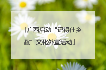 广西启动“记得住乡愁”文化外宣活动