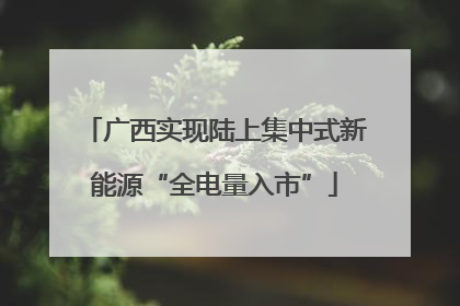 广西实现陆上集中式新能源“全电量入市”