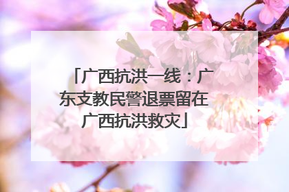 广西抗洪一线：广东支教民警退票留在广西抗洪救灾