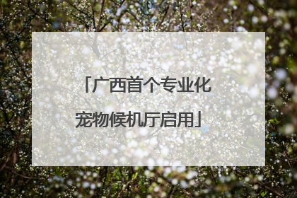 广西首个专业化宠物候机厅启用