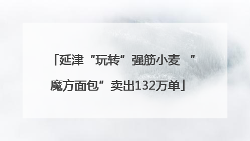 延津“玩转”强筋小麦 “魔方面包”卖出132万单
