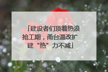 建设者们顶着热浪抢工期，甬台温改扩建“热”力不减