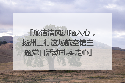 廉洁清风进脑入心，扬州工行这场航空馆主题党日活动扎实走心