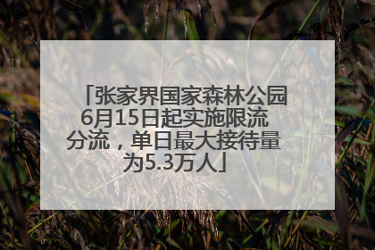 张家界国家森林公园6月15日起实施限流分流，单日最大接待量为5.3万人