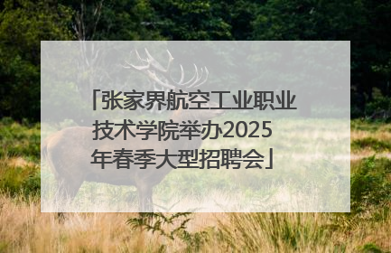 张家界航空工业职业技术学院举办2025年春季大型招聘会