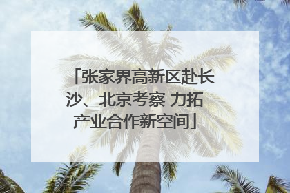 张家界高新区赴长沙、北京考察 力拓产业合作新空间