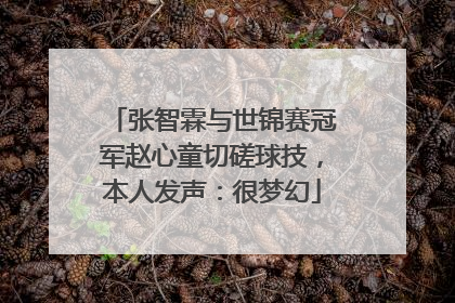 张智霖与世锦赛冠军赵心童切磋球技，本人发声：很梦幻