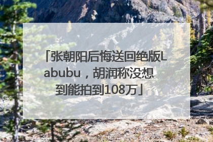 张朝阳后悔送回绝版Labubu，胡润称没想到能拍到108万