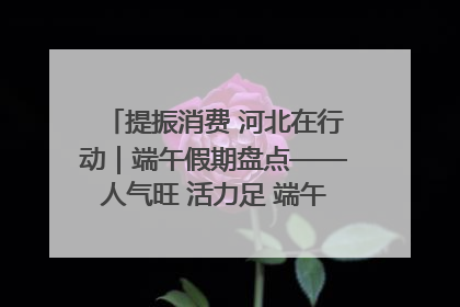 提振消费 河北在行动｜端午假期盘点——人气旺 活力足 端午经济“热浪”迭起